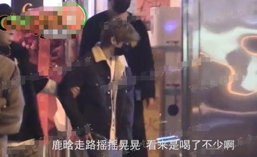 狗仔爆料云鹿是真的吗视频,云鹿真相揭秘，视频证据揭示惊人内幕