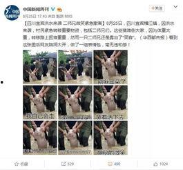 盘点几个网红表情包图片,网红表情包图片，趣味横生，笑点满满！