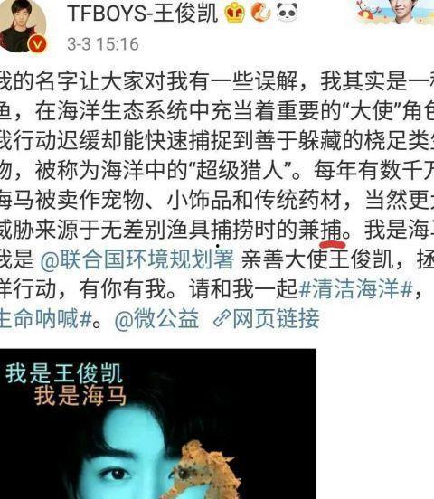 明星文案宣传,璀璨星光下的品牌代言传奇