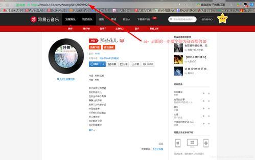 头条怎么加载音乐进去,轻松将音乐融入文章，提升阅读体验