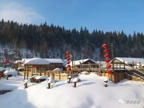 网红雪乡,揭秘网红雪乡的冰雪魅力与冬日风情